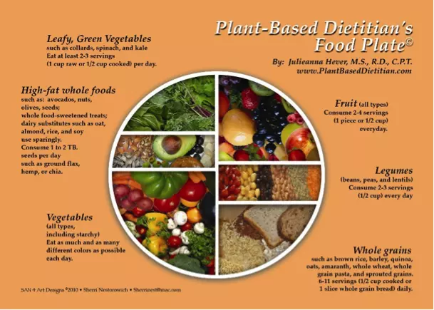 dietas basadas en plantas