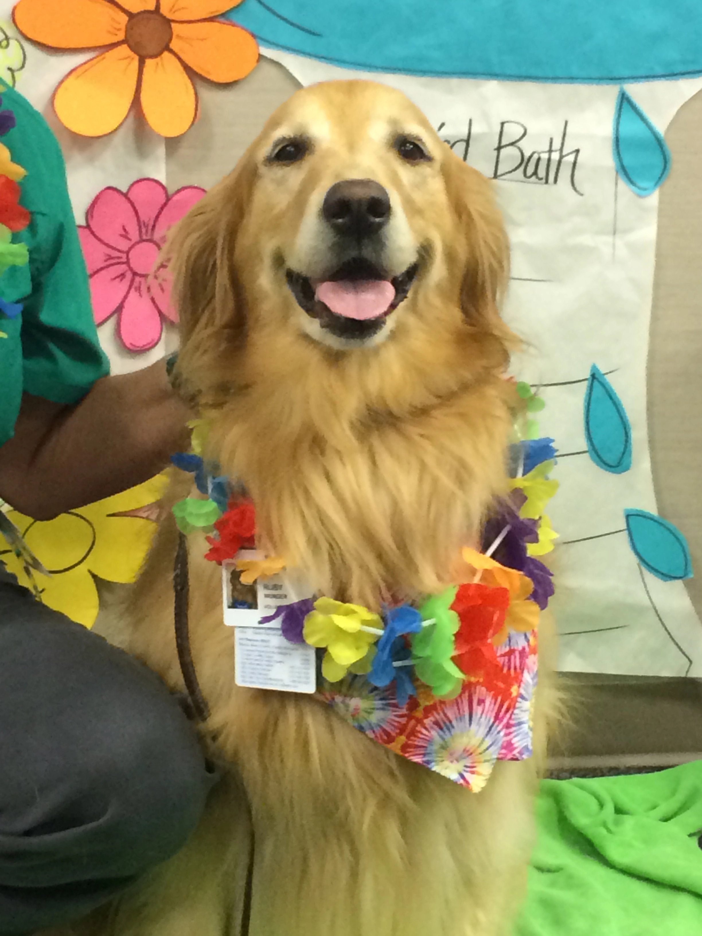 Mans best friend brings smiles to hospital patients