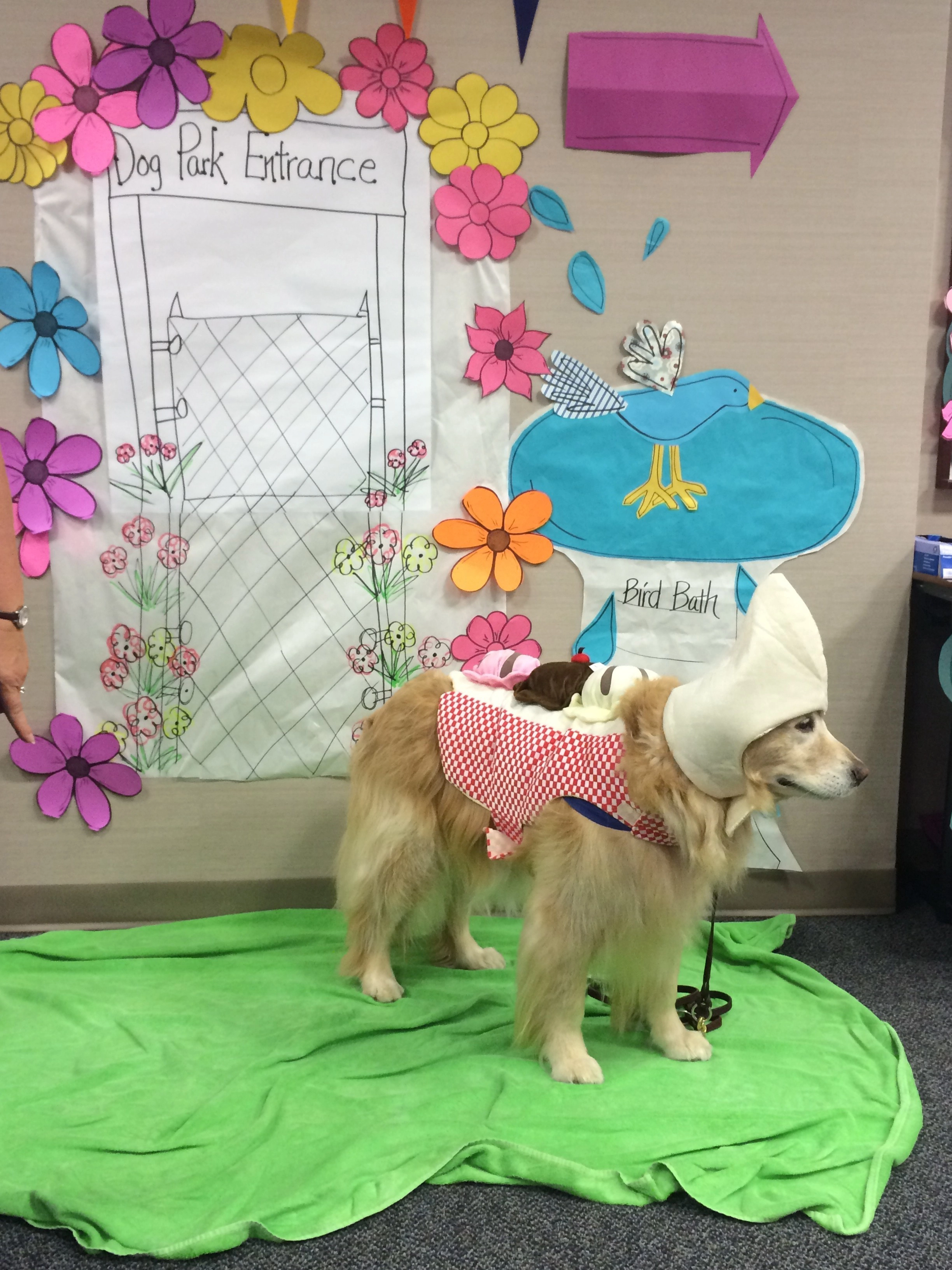 Eli luce un disfraz de banana split para el evento Dog Days of Summer en Baylor Plano