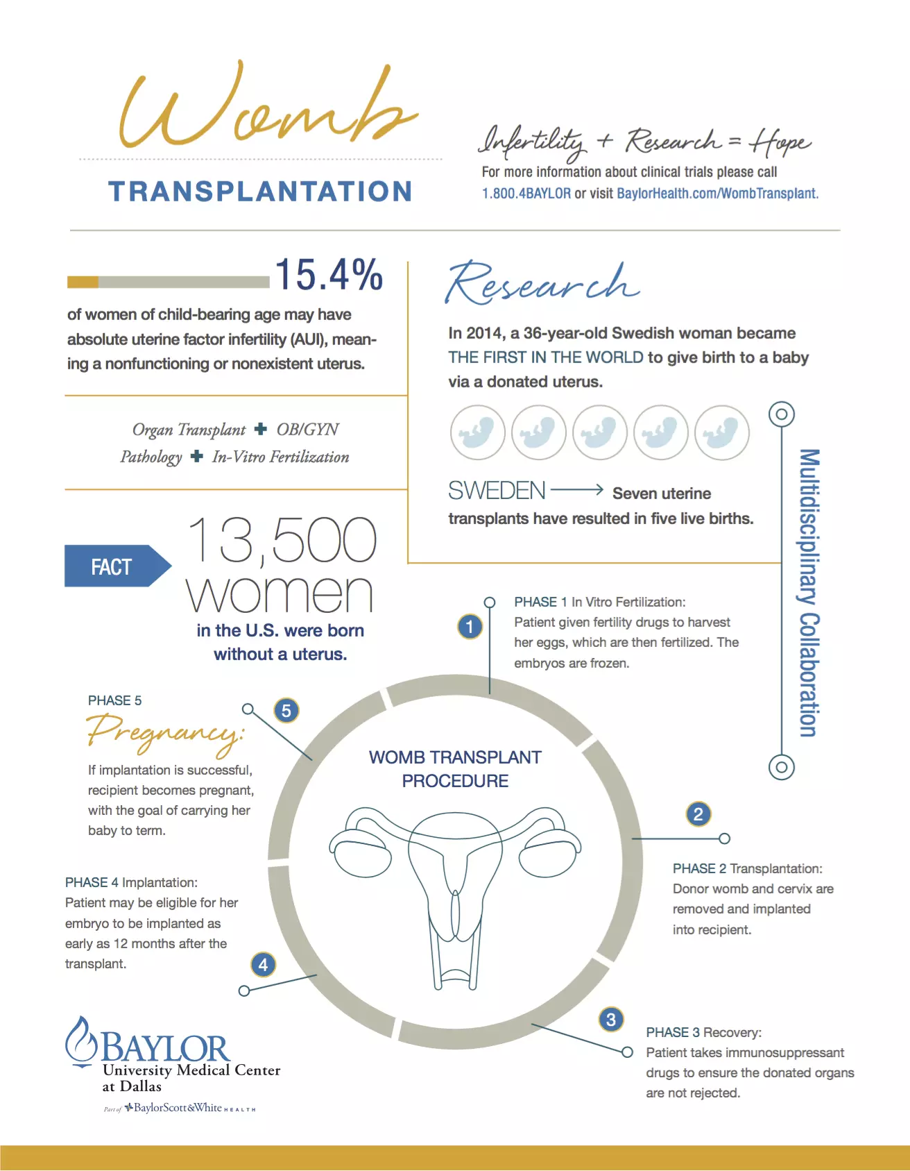 uterus-transplant-womb-transplant