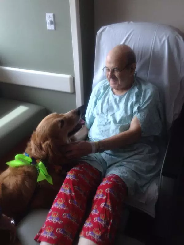 Therapy dogs visit patients