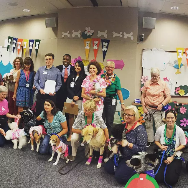 Voluntarios del programa de terapia asistida por animales de Baylor Scott & White en el evento Dog Days of Summer de Baylor Plano